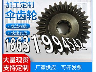 小齿轮厂家